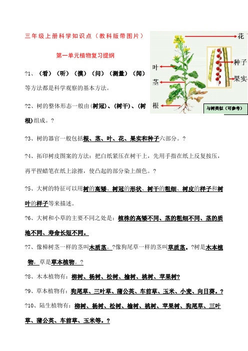 三年级上册科学知识点教科版带图片