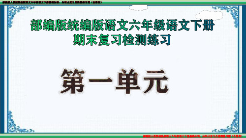 部编版人教版统编版语文六年级语文下册基础知识、知识点复习及检测练习题(含答案)