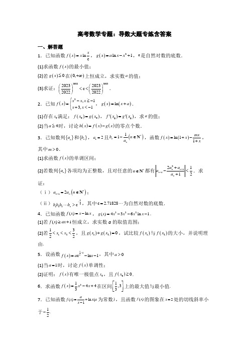 高考数学专题：导数大题专练含答案