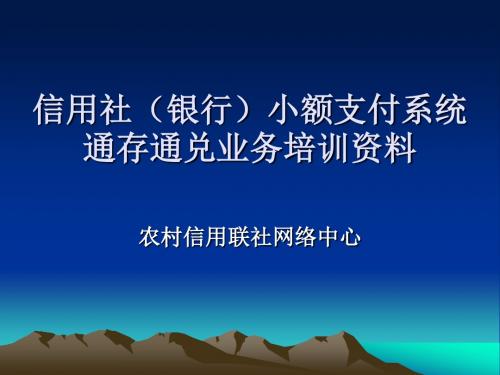 信用社(银行)小额支付系统通存通兑业务培训资料