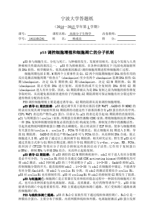 宁波大学答题纸