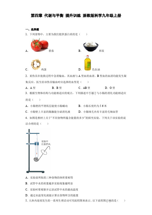 初中科学浙教版九年级上册第4章 代谢与平衡 提升训练(含答案)