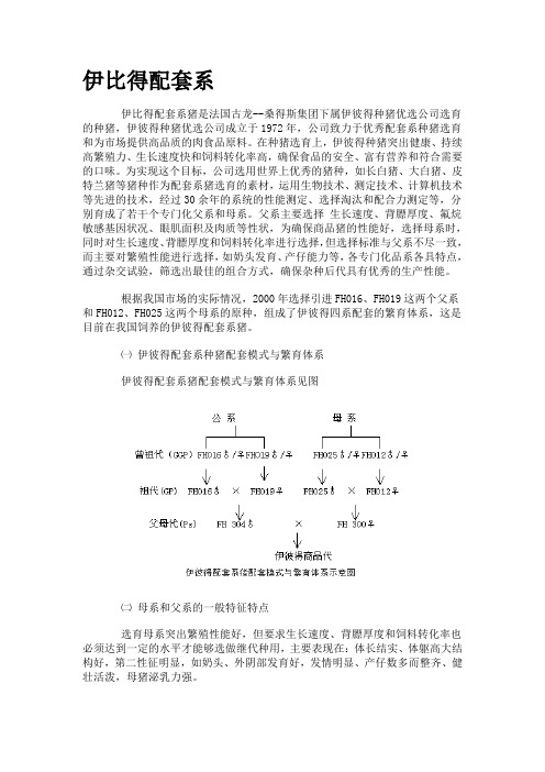 猪配套系