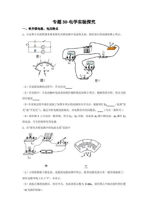 2020人教版中考物理专题试卷30-电学实验探究