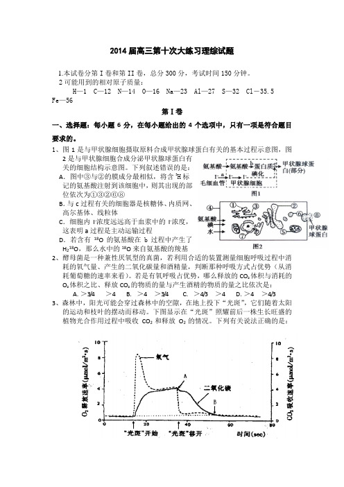 陕西省西安市高新一中2014届高三下学期第十次大练习理综试题Word版含答案