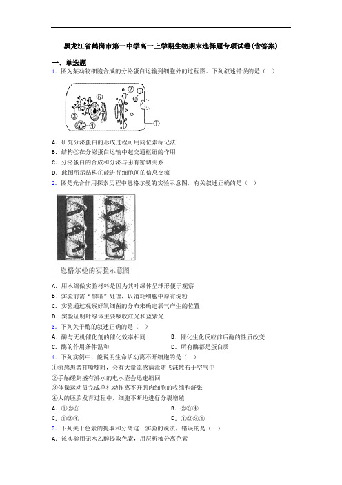 黑龙江省鹤岗市第一中学高一上学期生物期末选择题专项试卷(含答案)