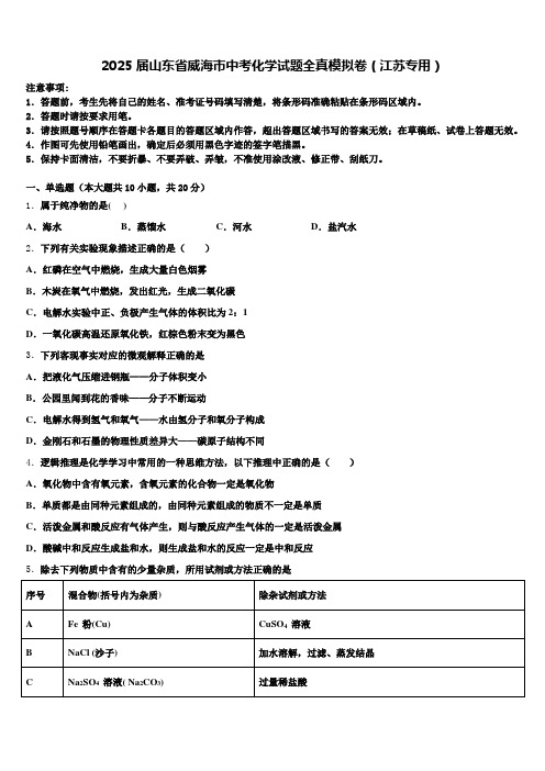 2025届山东省威海市中考化学试题全真模拟卷(江苏专用)含解析