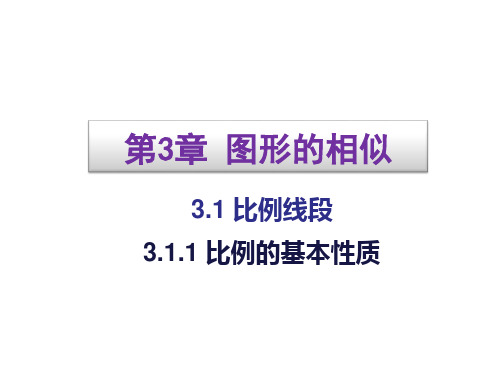 湘教版九年级数学上册3.1.1 比例的基本性质 (共18张PPT)