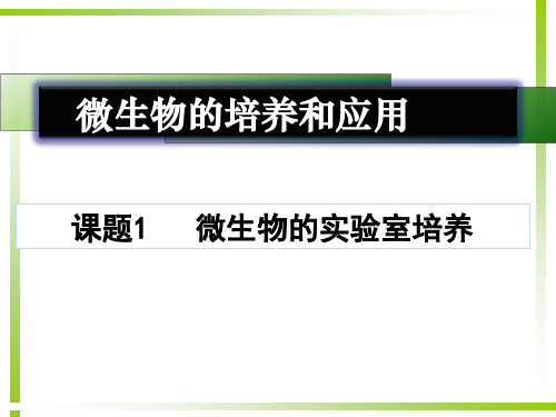 21微生物的实验室培养-吉林省长春市第二中学高中生物选修一课件2(共31张PPT)