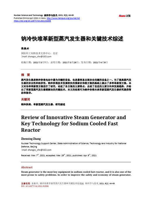 钠冷快堆革新型蒸汽发生器和关键技术综述