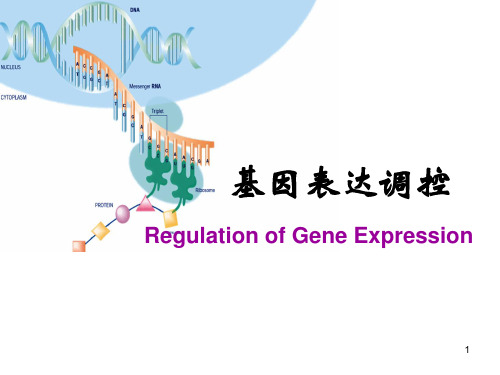 基因表达调控PPT课件