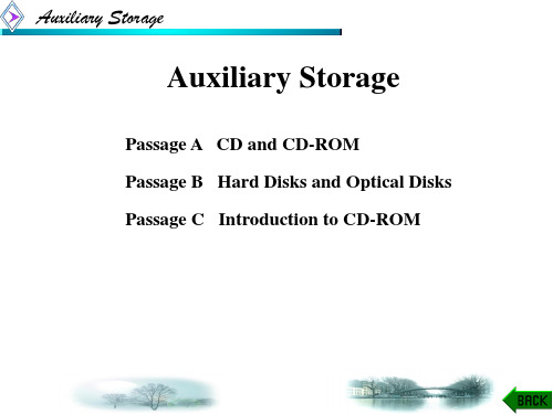 电子信息专业英语(第二版)课件：Auxiliary Storage