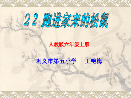 部编六年级上人教《22 跑进家来的松鼠》王艳梅PPT课件 一等奖新名师优质课获奖比赛公开免费下载