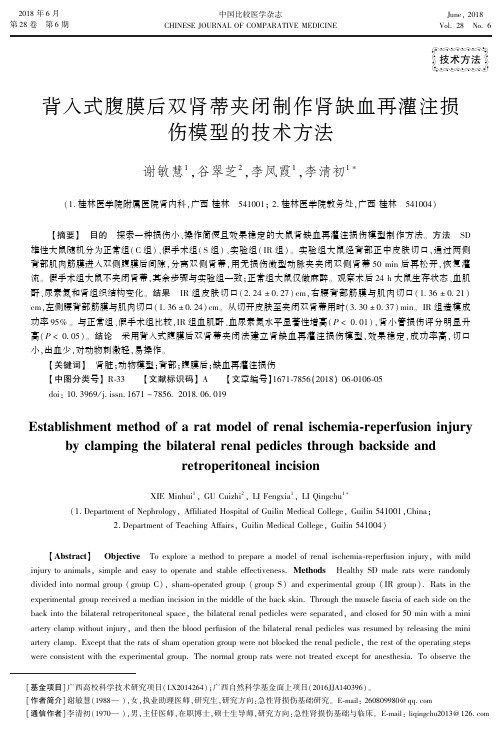 背入式腹膜后双肾蒂夹闭制作肾缺血再灌注损伤模型的技术方法