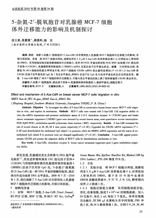 5-杂氮-2′-脱氧胞苷对乳腺癌MCF-7细胞体外迁移能力的影响及机制探讨