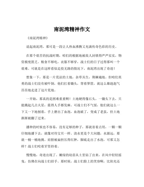 南泥湾精神作文