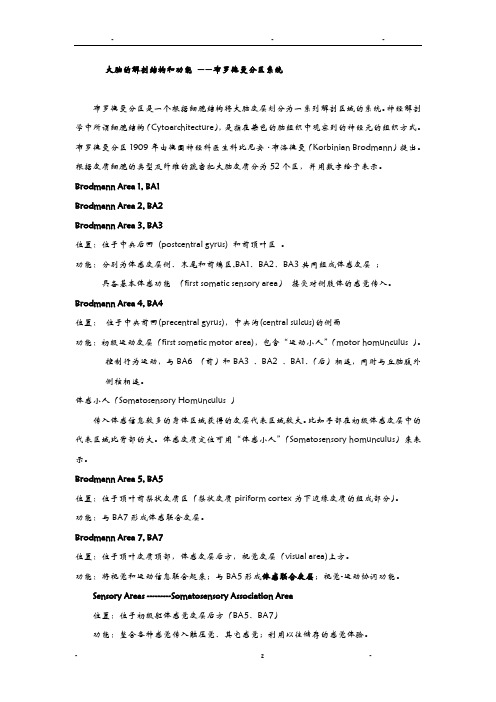 大脑的解剖结构和功能——布鲁德曼分区