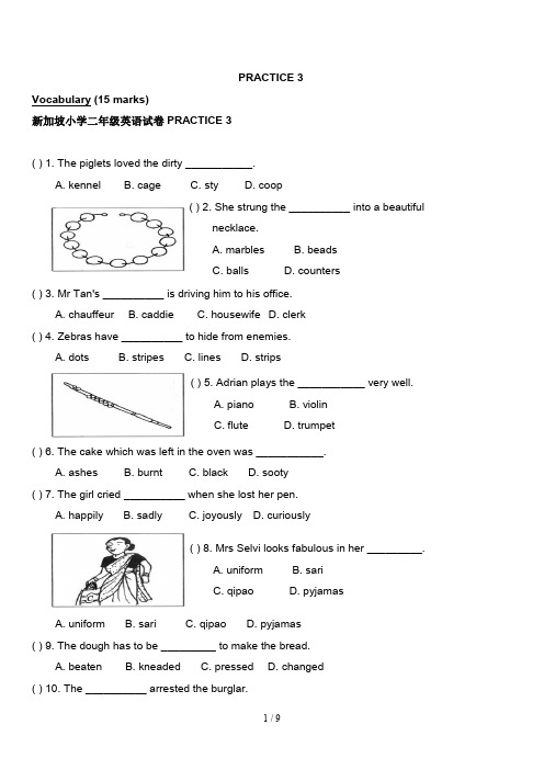 新加坡小学二年级英语试卷PRACTICE 3