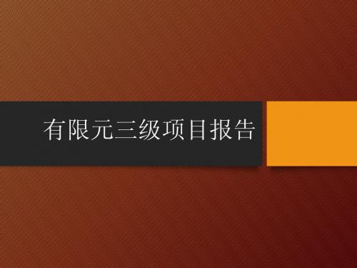 ansys平面轴对称周期问题分析项目报告ppt