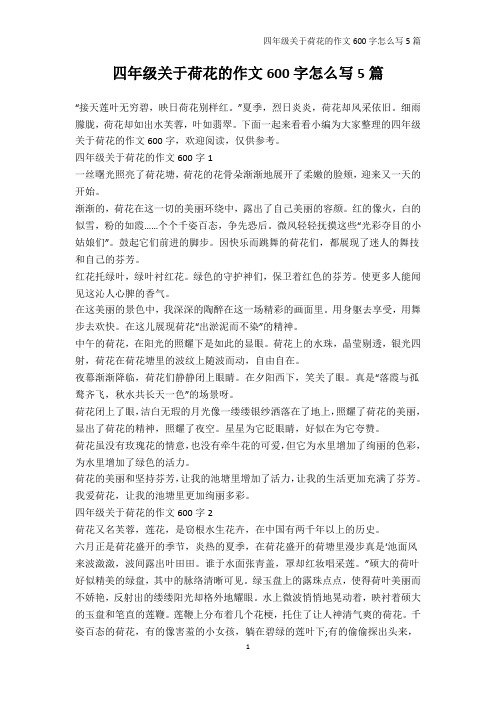小学四年级-四年级关于荷花的作文600字怎么写5篇