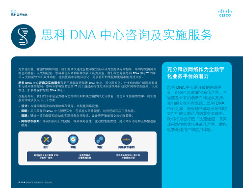 思科 DNA 中心咨询及实施服务