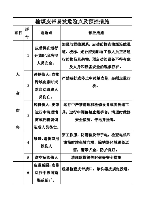 输煤皮带易发危险点及预控措施