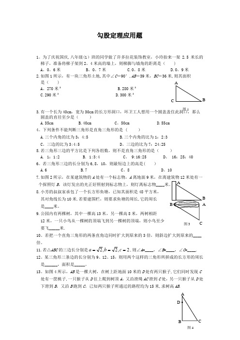 勾股定理应用题专项练习(经典)