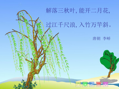 风(气象符号和预警信号)