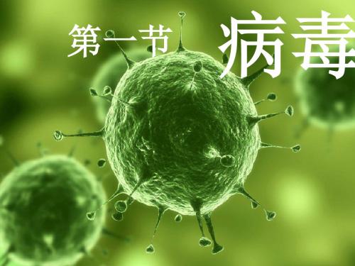 济南版七年级生物上册《第一节 病毒》课件
