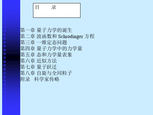 [练习]北京大学量子力学课件  自旋与全同粒子