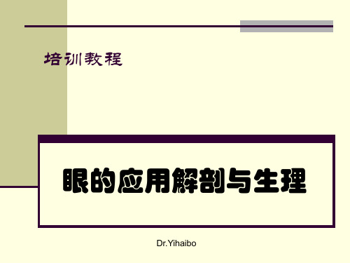 眼镜验配中级验光师课程：眼睛解剖生理