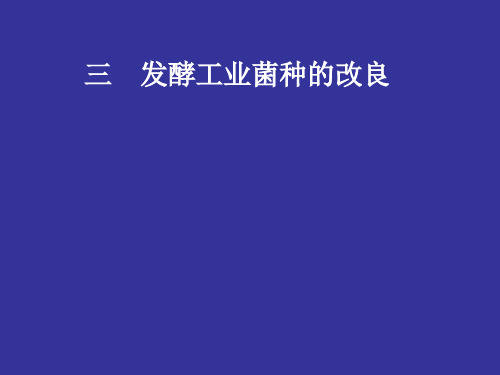 发酵工程与设备第二章、第三讲 发酵工业菌种的改良