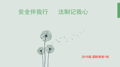 《安全伴我行》主题班会PPT