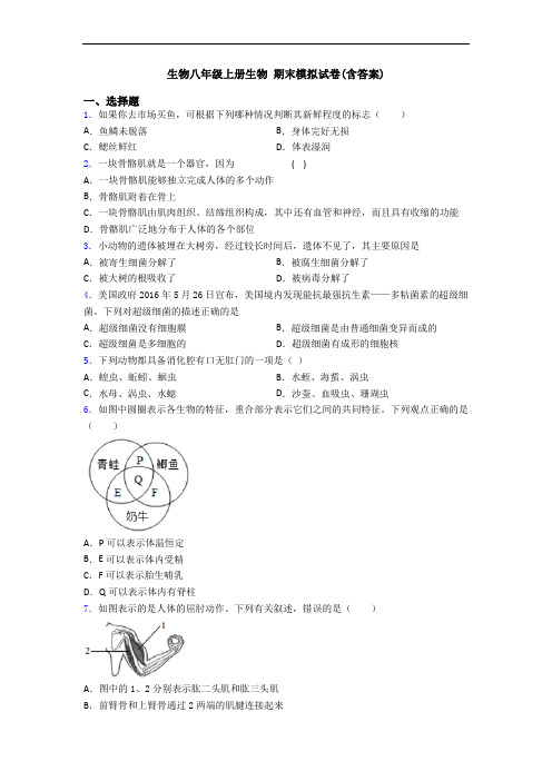 生物八年级上册生物 期末模拟试卷(含答案)