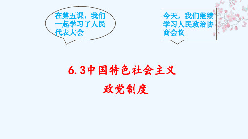 中国特色社会主义政党制度