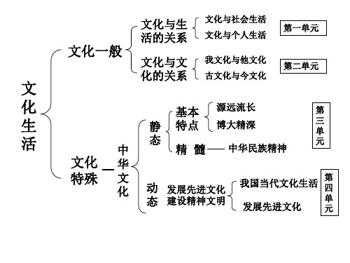 高二政治文化生活第一单元复习(PPT)5-5