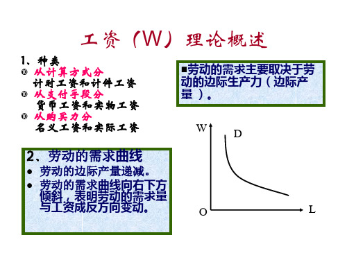 工资(W)理论概述