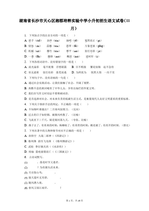 最新整理湖南省长沙市天心区湘郡培粹实验中学小升初招生语文试卷(11月)和答案解析