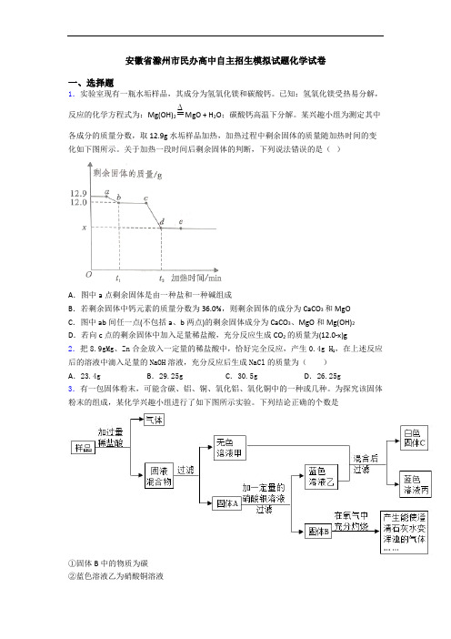 安徽省滁州市民办高中自主招生模拟试题化学试卷