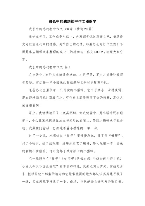 成长中的感动初中作文600字