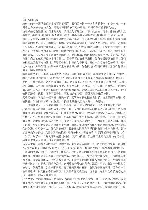 我们校园风采(优秀作文)