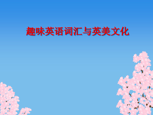 趣味英语词汇