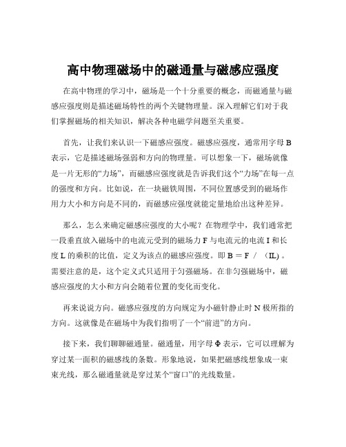 高中物理磁场中的磁通量与磁感应强度