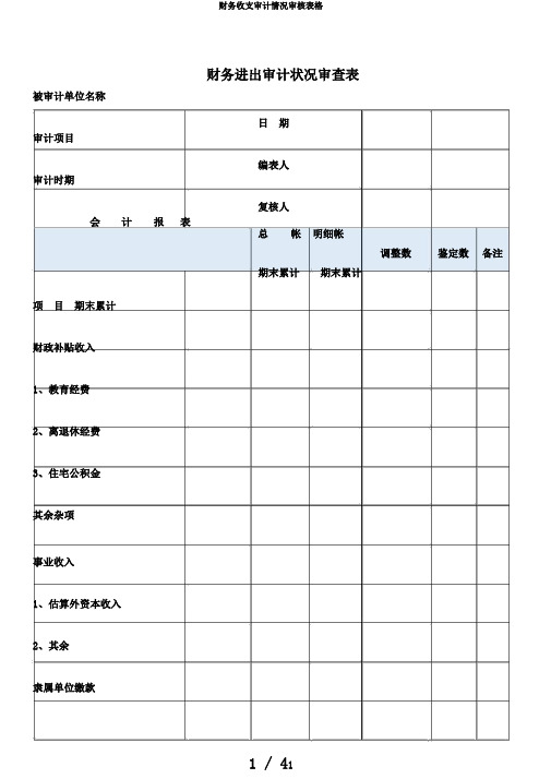 财务收支审计情况审核表格