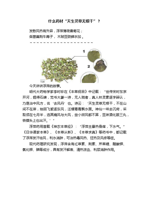 什么药材“天生灵草无根干”？