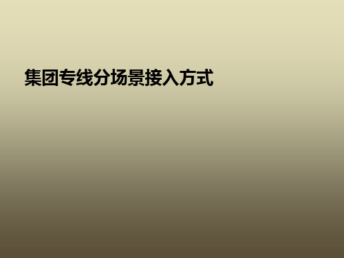 集团专线分场景接入方式介绍