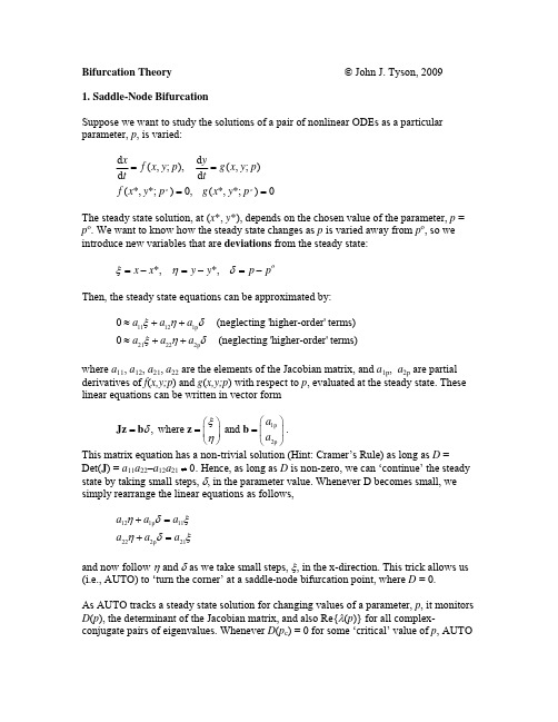 Bifurcation+Theory