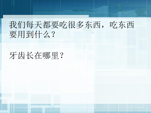 四年级上册科学课件-4.6食物在口腔里的变化 教科版(共24张PPT)