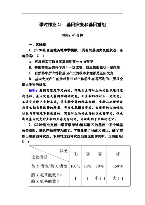 人教版高考生物大一轮总复习第21讲基因突变和基因重组