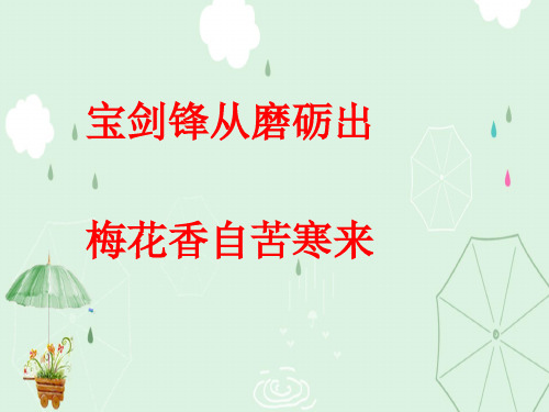 山东省胶南市隐珠街道办事处中学九年级化学酸碱盐的性质与应用复习PPT课件 人教版
